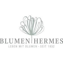 blumen hermes tönisvorst|Blumen Hermes, Inh. Andrea Hermes, Tönisvorst .